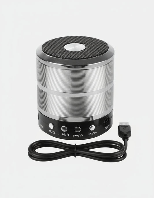 WS-88 BT SPEAKER